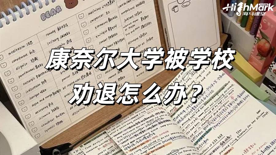 康奈爾大學(xué)被學(xué)校勸退怎么辦?