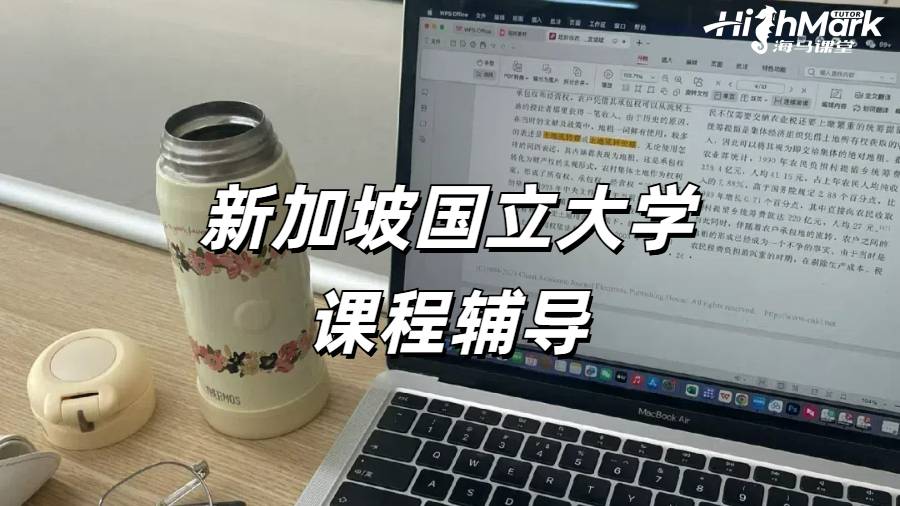 新加坡大學(xué)文科課程輔導(dǎo)