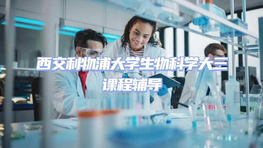 西交利物浦大學(xué)課程輔導(dǎo)
