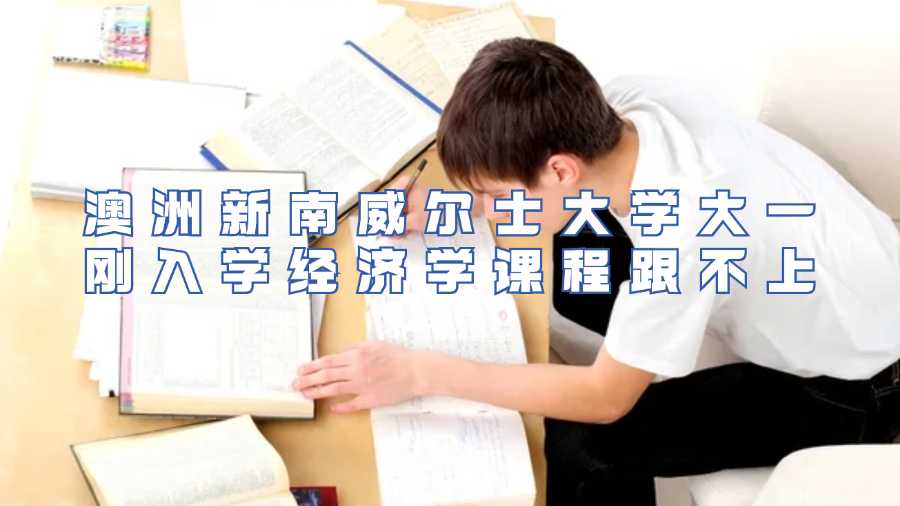 澳洲新南威爾士大學(xué)大一剛?cè)雽W(xué)經(jīng)濟學(xué)課程跟不上