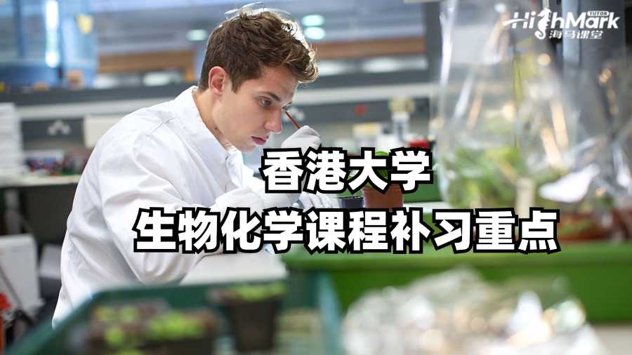 香港大學(xué)生物化學(xué)課程補(bǔ)習(xí)重點(diǎn)