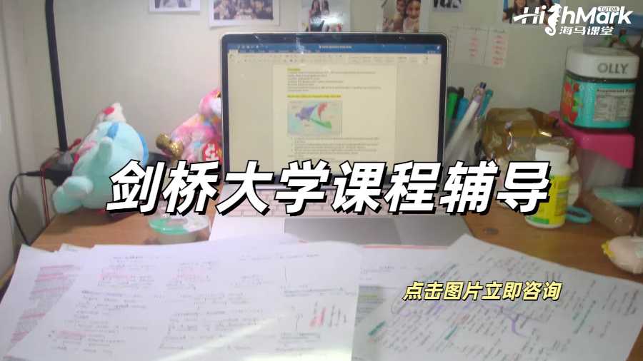 劍橋大學供應鏈管理與財務相關的課程輔導