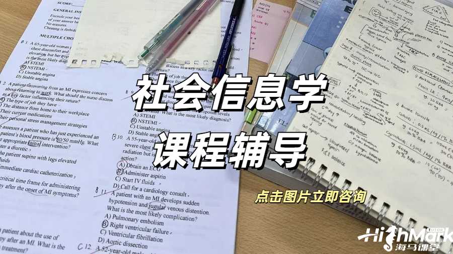 社會信息學(xué)課程輔導(dǎo)