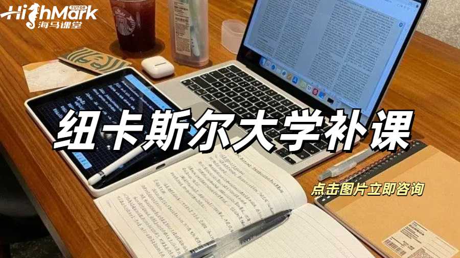 紐卡斯?fàn)柎髮W(xué)補(bǔ)課