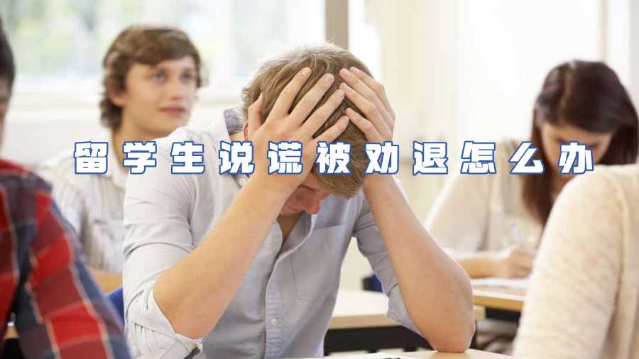 留學(xué)生說(shuō)謊被勸退怎么辦