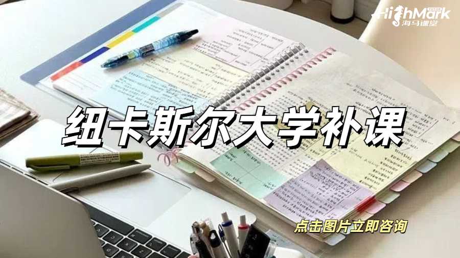 紐卡斯?fàn)柎髮W(xué)補課