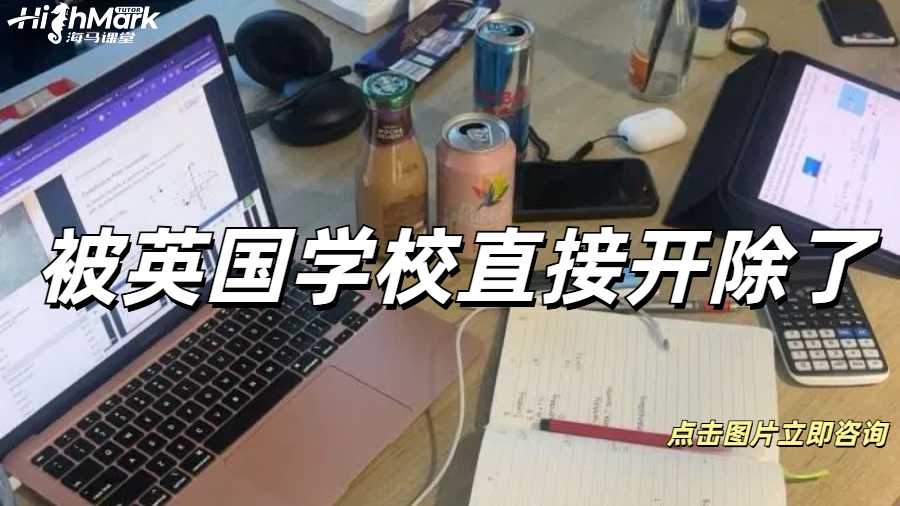 被英國學(xué)校直接開除了怎么辦？