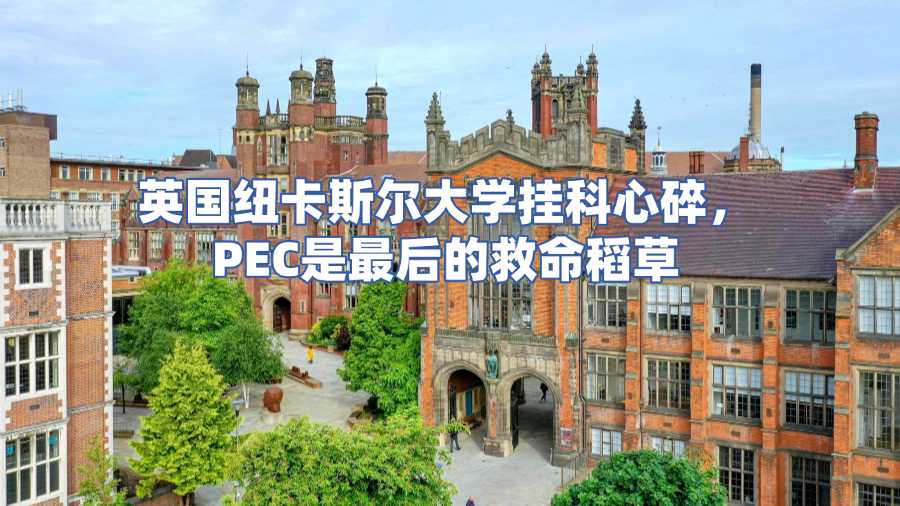 英國(guó)紐卡斯?fàn)柎髮W(xué)掛科申訴