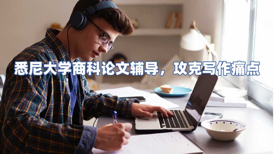 悉尼大學(xué)商科論文輔導(dǎo)