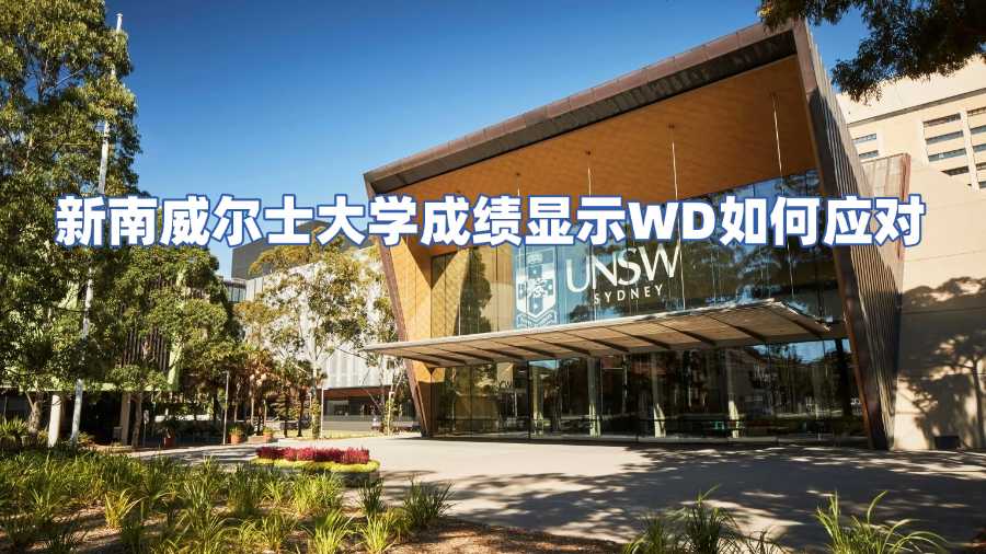 新南威爾士大學(xué)成績顯示W(wǎng)D如何應(yīng)對