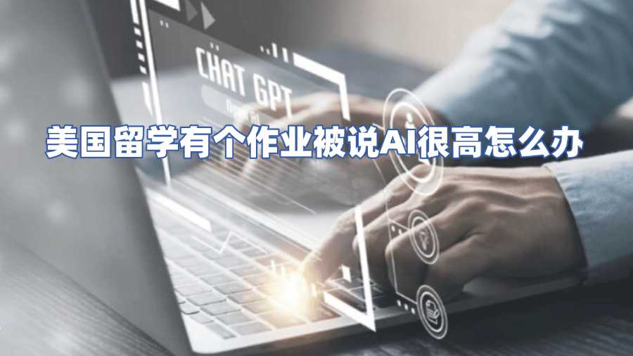美國留學有個作業(yè)被說AI很高怎么辦