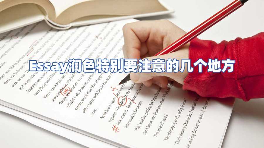 Essay潤(rùn)色