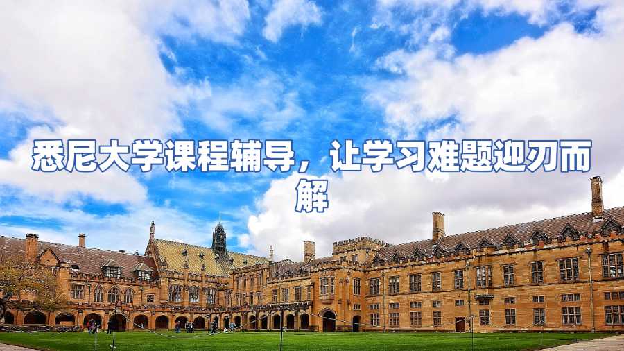 悉尼大學(xué)課程輔導(dǎo)