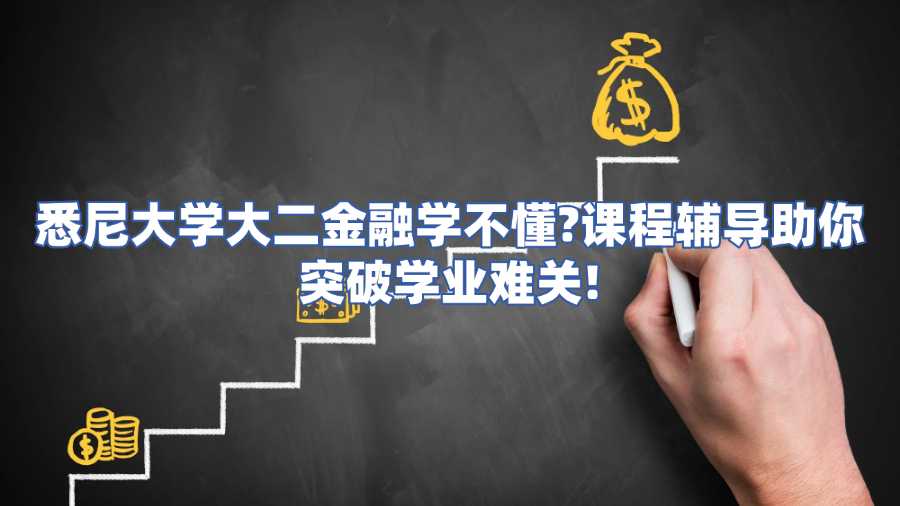 悉尼大學(xué)大二金融課程輔導(dǎo)