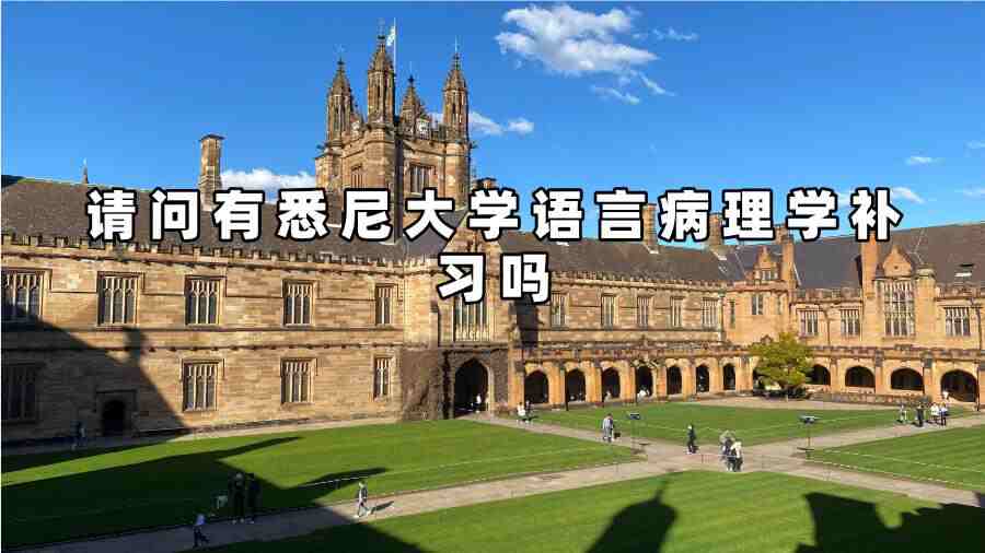 悉尼大學(xué)語(yǔ)言病理學(xué)補(bǔ)習(xí)