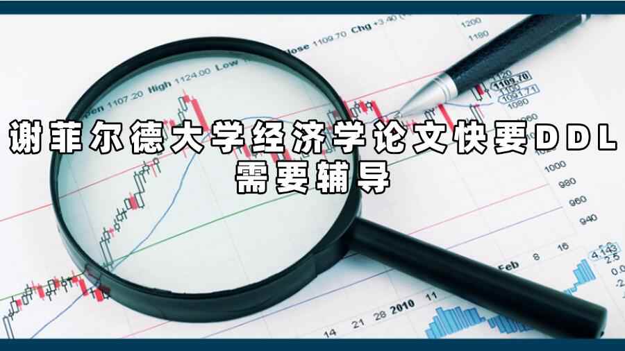 謝菲爾德大學(xué)經(jīng)濟(jì)學(xué)論文輔導(dǎo)