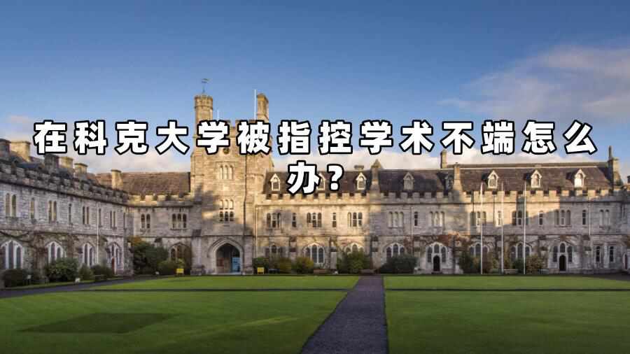 科克大學學術(shù)不端