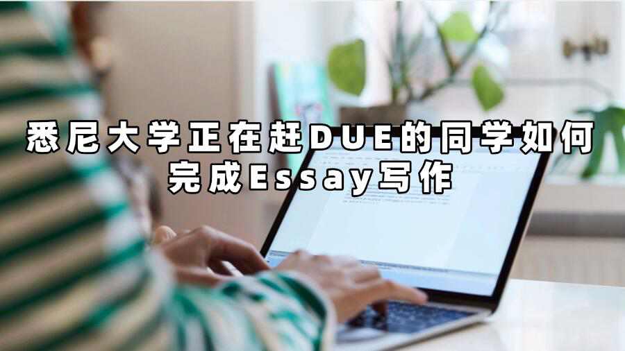 悉尼大學Essay寫作