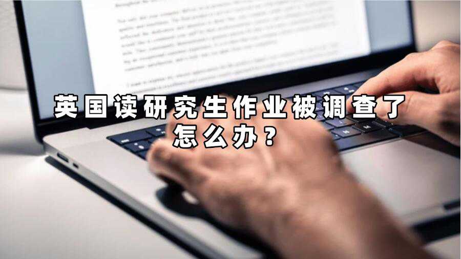 英國(guó)讀研究生作業(yè)被調(diào)查了怎么辦