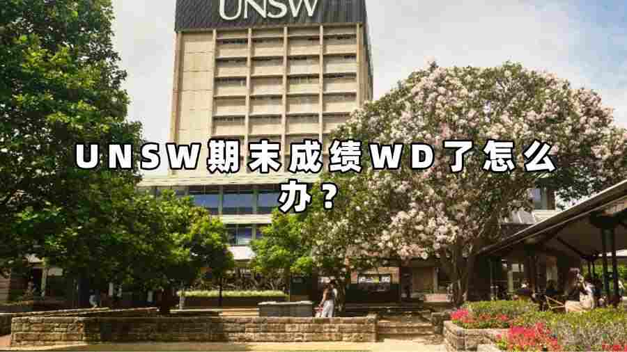 UNSW期末成績WD了怎么辦？