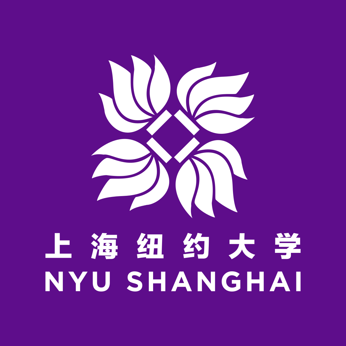 上海紐約大學