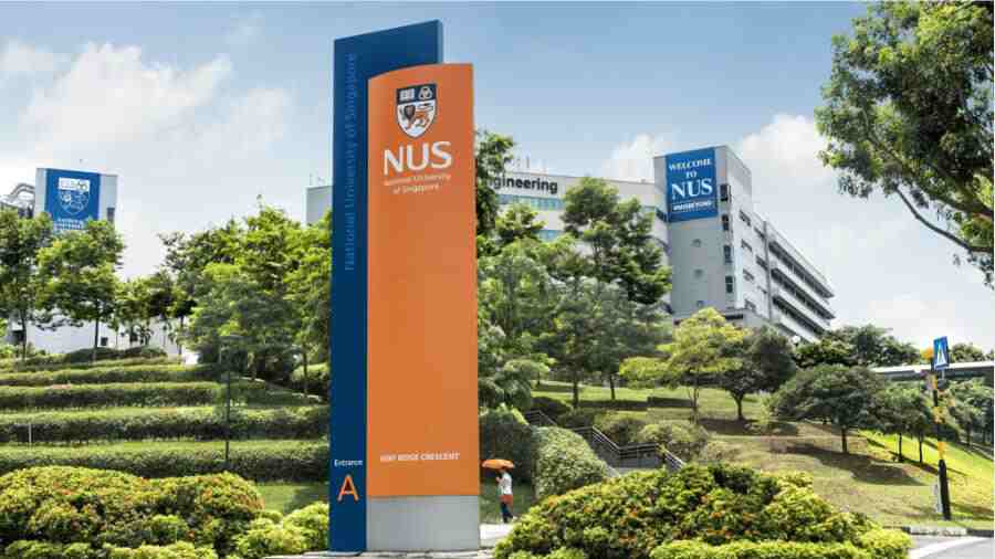 nus選課指導