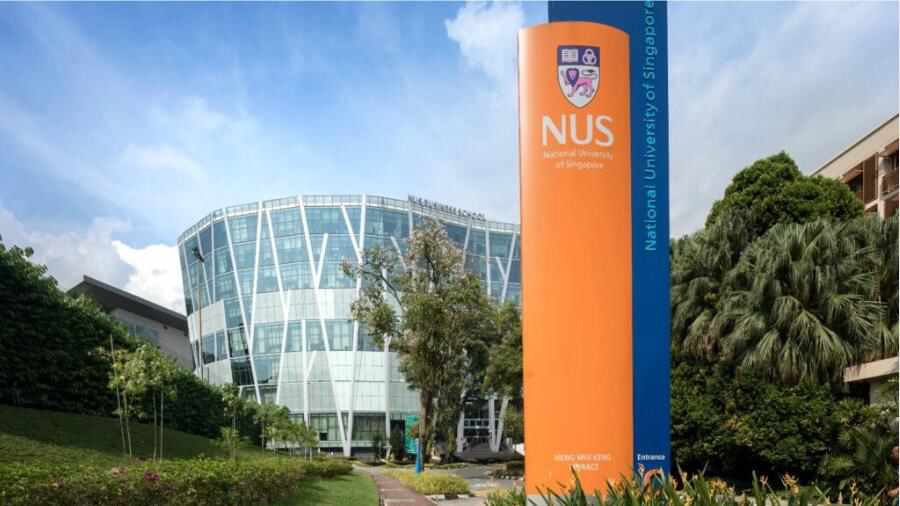 新加坡國立大學cs課程輔導