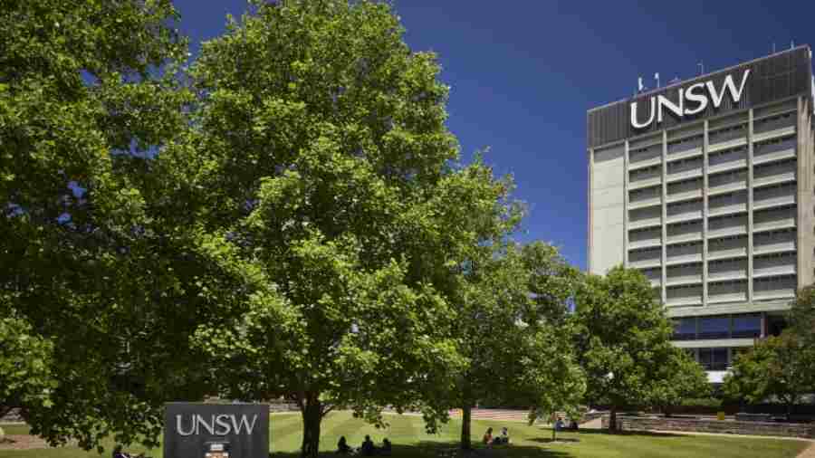 【UNSW】3784課程選課全攻略|詳細(xì)選課建議與課程解析