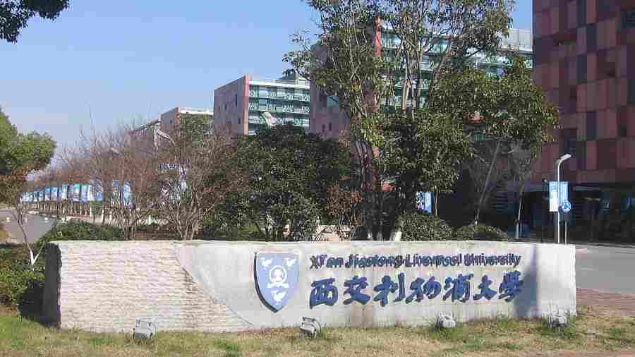 西交利物浦大學(xué)IFB315課程輔導(dǎo)