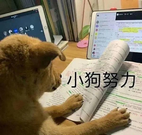 聽說還有海馬er不知道我們在B站更新視頻？