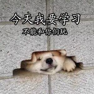 Alex老師的學術寫作公開課圓滿結束